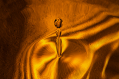Liquid Gold