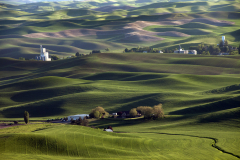 Rolling Hills
