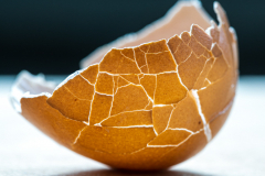 Broken Eggshell
