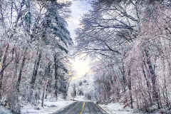 Snowy Road