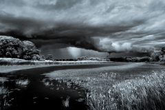 Summer Storm