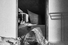 Egg Path
