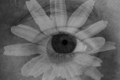 Flowery Eye