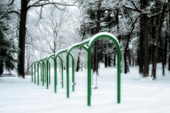 Winter's Playground