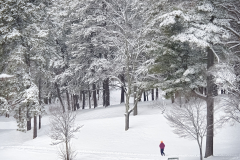 The Wonder Of Winter