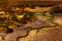 Winding Stream