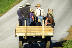 Amish Joy Ride