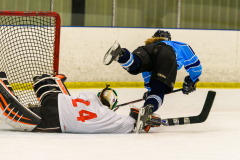 Where Did The Puck Goy