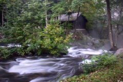 Fog Over Mill Creek