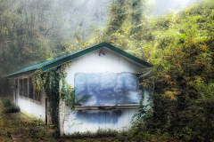 Enveloped