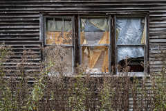 Abandoned And Neglected