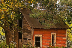 Red Shed
