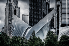 Oculus In Gotham City