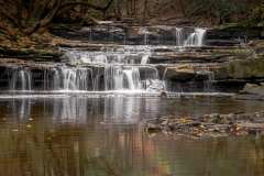 Christman Sanctuary 1