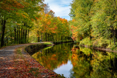 Feeder Dam Trail