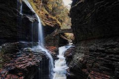 Watkins Glen Paradise