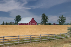 Red Barn Montana
