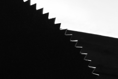 These Teeth Bite
