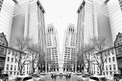 Black vs White
