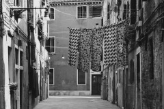 Laundry Day