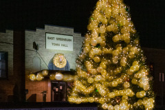 Town Hall Christmas Globes