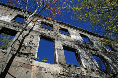 Days Gone By