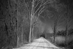Winter On The Zim Smith Trail
