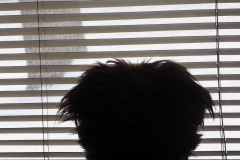 Looking Through The Window