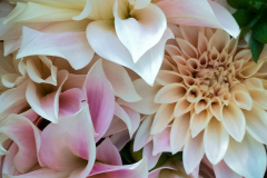 Pastels