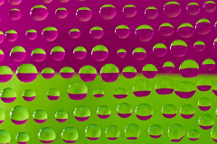 Transitions