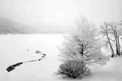 Gsl Snowy Day