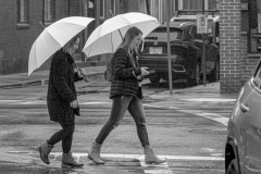 The Umbrella Twins