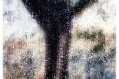 Rainy Day Tree Through The Window