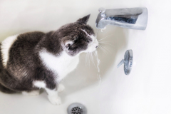 Tub Time