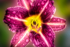 A Splash Of Color