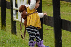 Hi Horsey