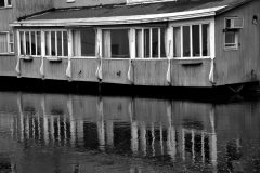 Waterfront Ambiance