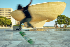 The Great Egg Skate