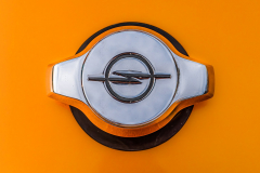 Shiney Thing In Orange