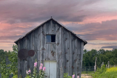 Dorothy's Shed