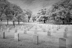 Arlington