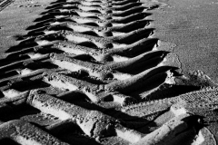 Follow The Tracks