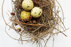 3 Eggs