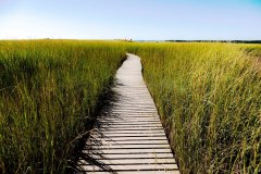 Boardwalk