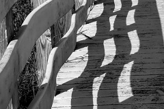 Wavy Boardwalk