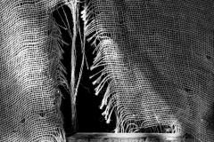 Burlap