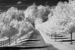 Shadowed Path