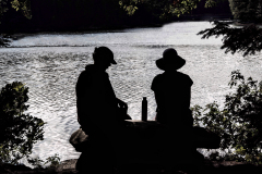 Picnic Silhouette