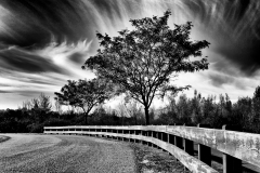 Halfmoon Town Park