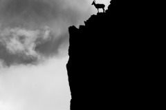 Mountain King